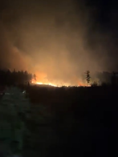 Serik&rsquo;te tarım arazisinden ormana sı&ccedil;rayan yangın 5 saatte s&ouml;nd&uuml;r&uuml;ld&uuml;
