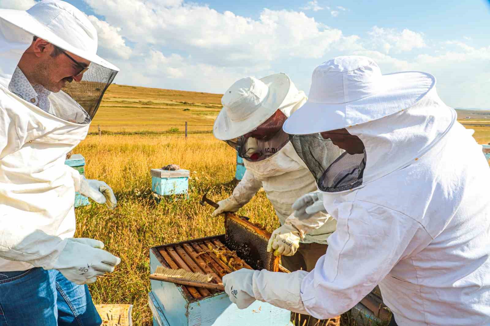 Bayburt’ta bal hasadı sezonu başladı