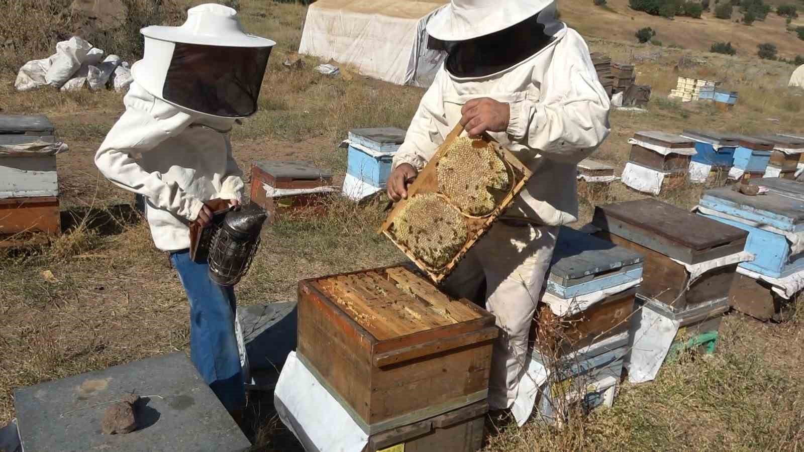 Bayburt’ta bal hasadı sezonu başladı