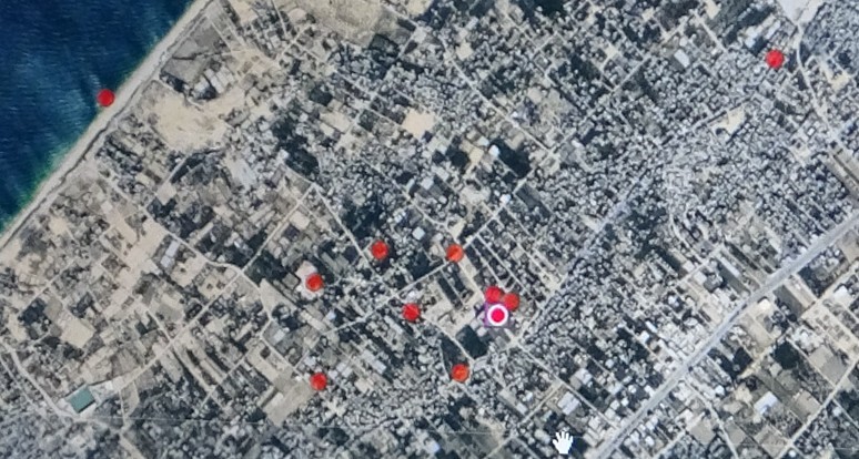 &lsquo;Kızkalesi&rsquo; kaplumbağası Gazze&rsquo;de kayboldu, sonra yeniden karada ortaya &ccedil;ıktı
