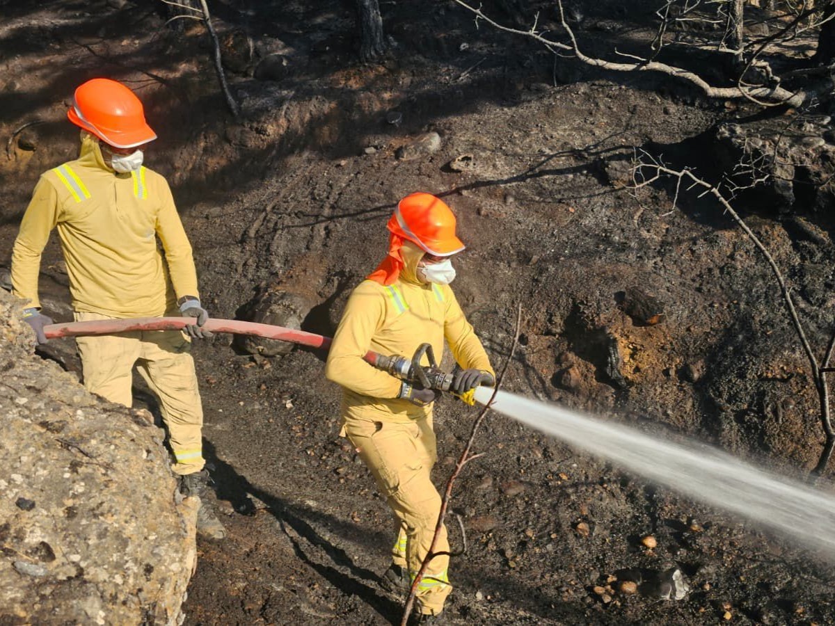 Uşak’taki orman yangını kontrol altına alındı
