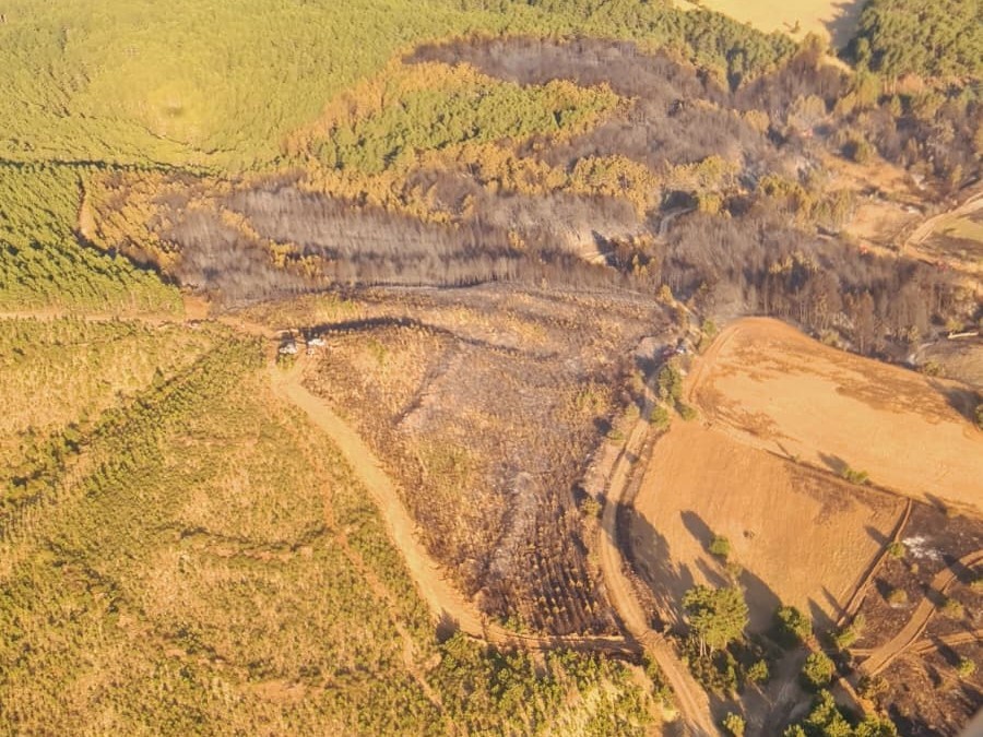 Uşak&rsquo;taki orman yangını kontrol altına alındı
