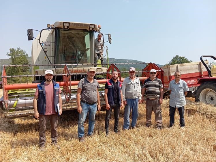 Gölpazarı’nda hasat kontrolleri tüm hızıyla sürüyor