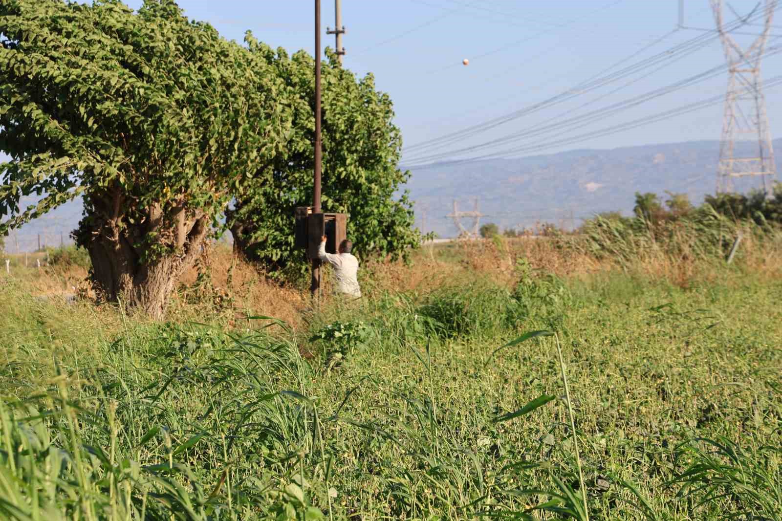 Aydın&rsquo;da su kıtlığı &ccedil;ift&ccedil;ilerin mesai saatlerini değiştirdi
