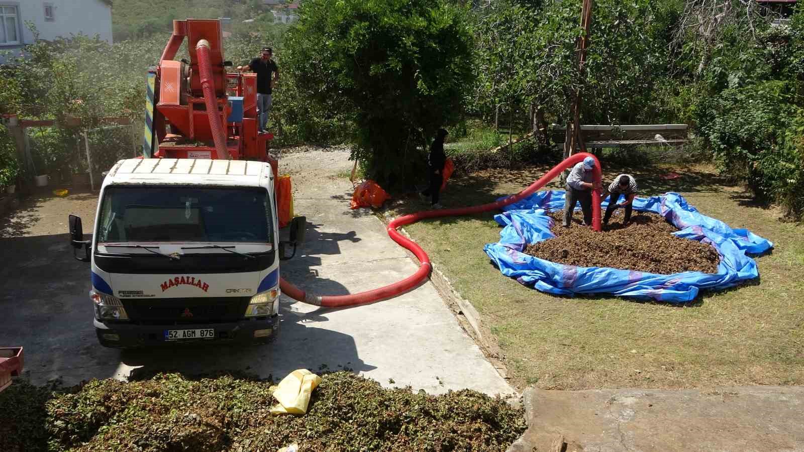 Fındıkta patoz mesaisi başladı: Saatlik ücreti 4 bin 500 TL