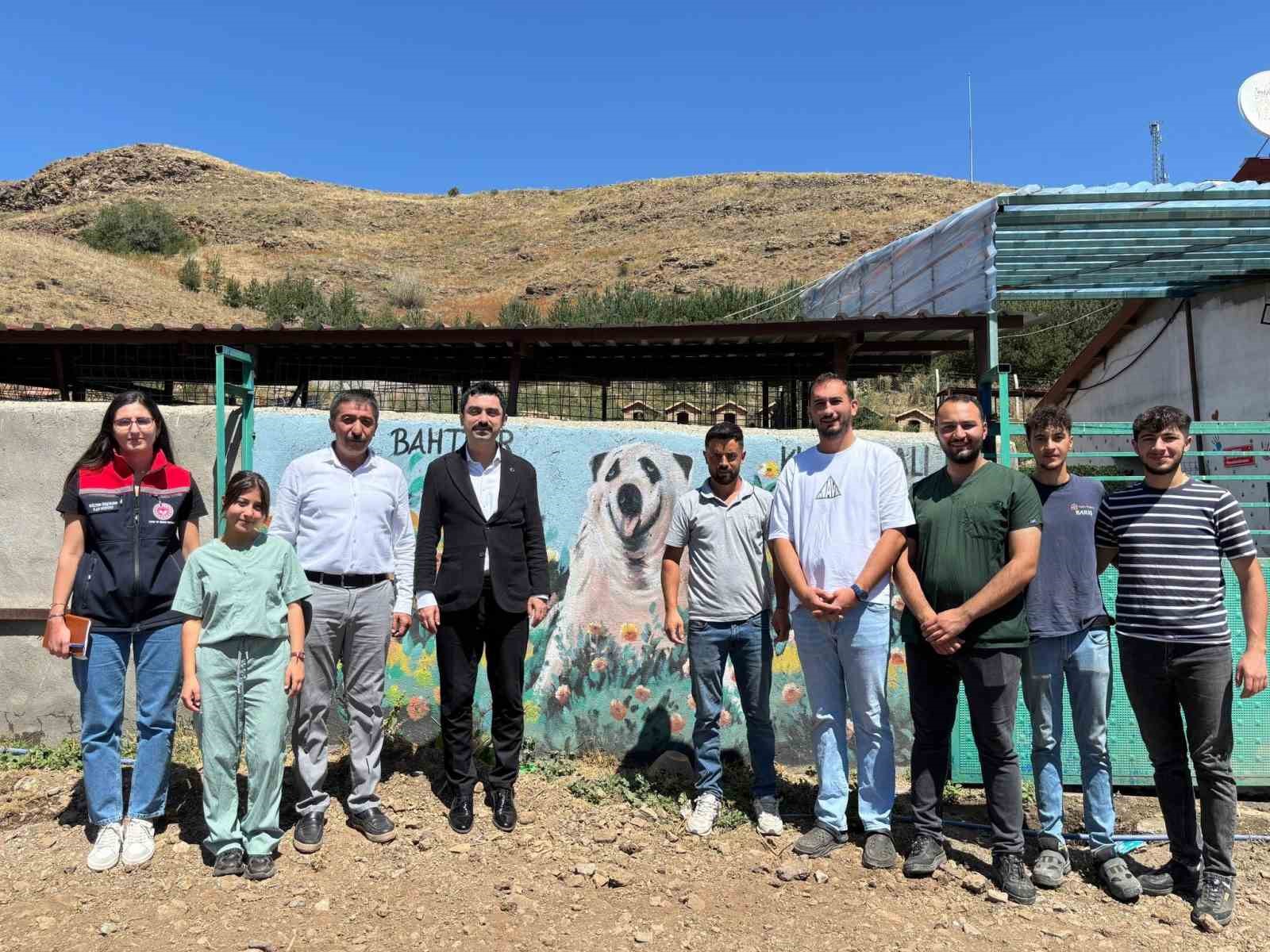 Kaymakam Tutal, Hayvan Barınağı&rsquo;nda incelemelerde bulundu
