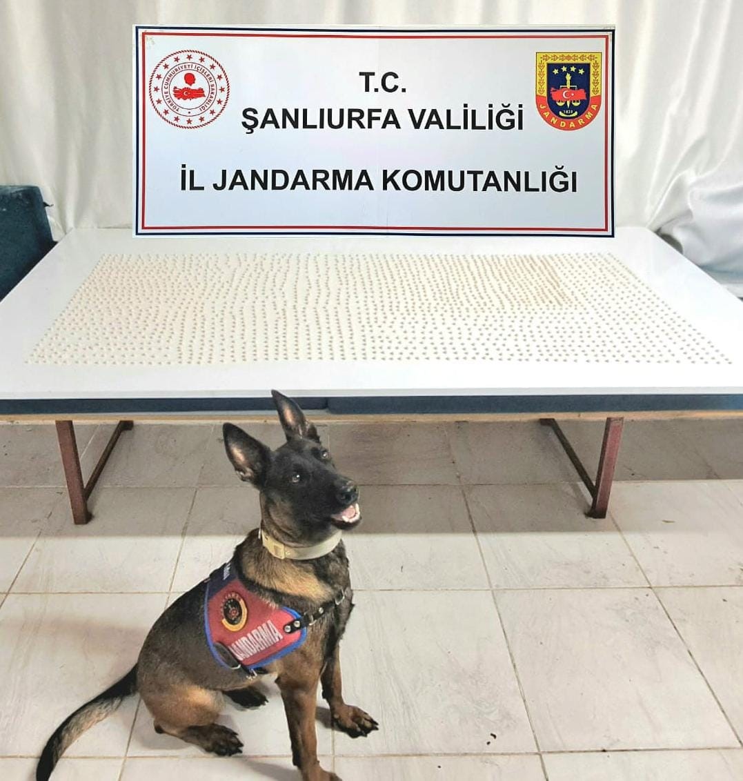 Şanlıurfa&rsquo;da uyuşturucu operasyonu: 2 g&ouml;zaltı
