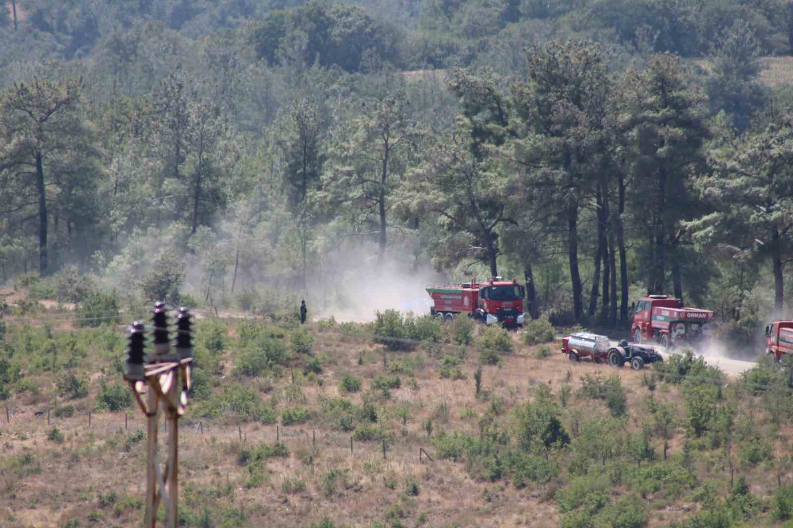 &Ccedil;anakkale&rsquo;de alevler yeniden y&uuml;kseldi, havadan karadan m&uuml;dahale s&uuml;r&uuml;yor
