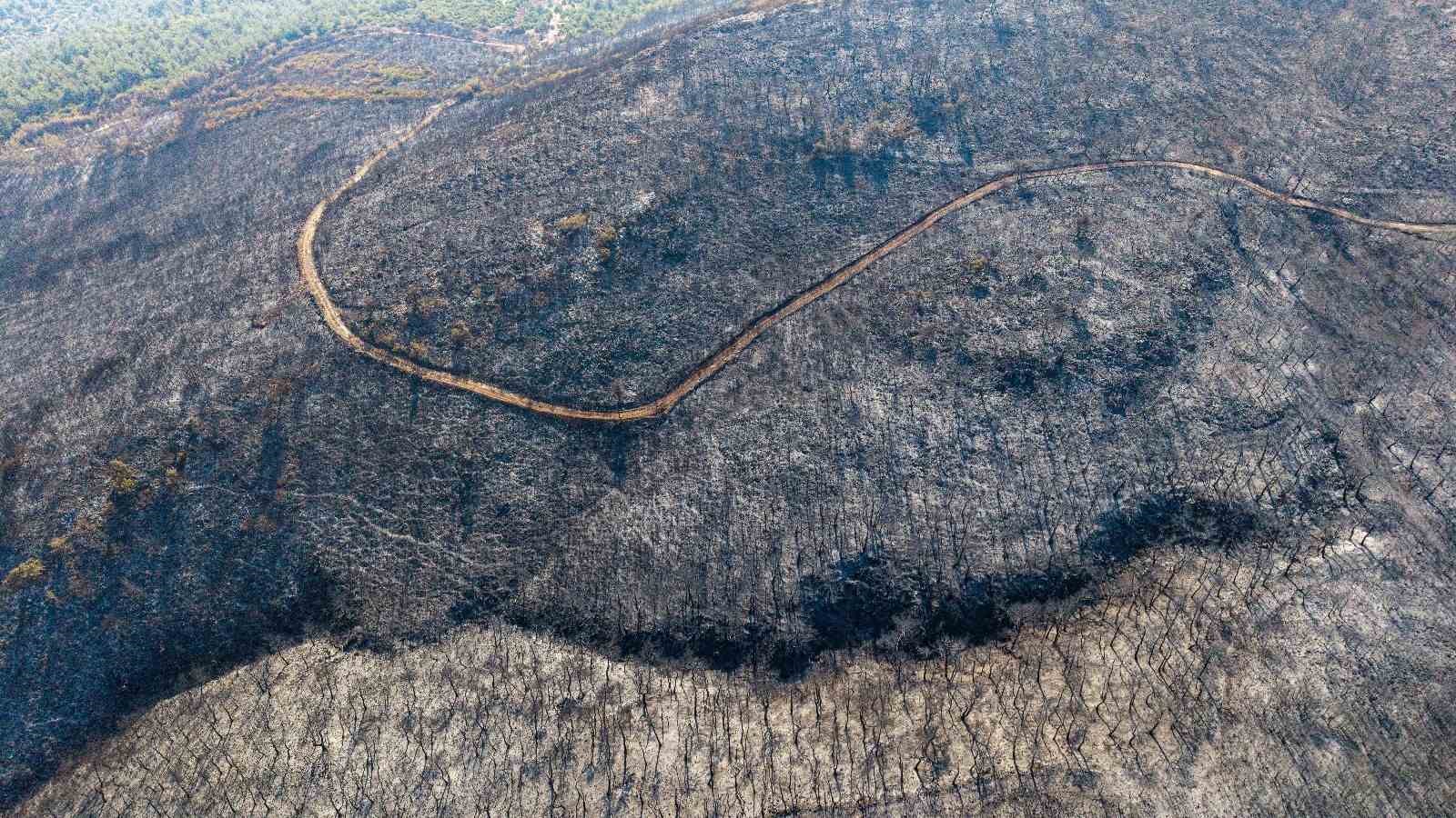 Soma&rsquo;daki orman yangınında soğutma &ccedil;alışmaları s&uuml;r&uuml;yor
