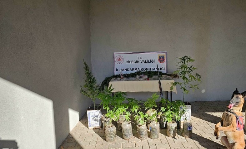 Bilecik’te yasadışı kenevir ve uyuşturucu operasyonu 1 gözaltı