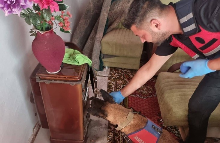 Bilecik&rsquo;te yasadışı kenevir ve uyuşturucu operasyonu 1 g&ouml;zaltı
