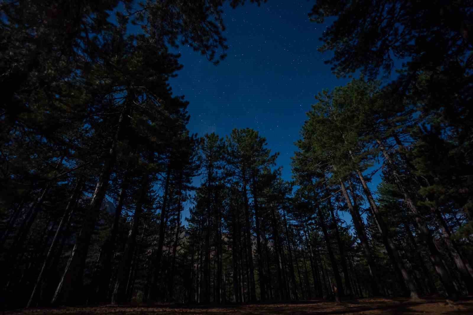 Isparta Melikler Yaylası&rsquo;nda Perseid yağmuru G&ouml;ky&uuml;z&uuml; Ş&ouml;lenine d&ouml;n&uuml;şt&uuml;
