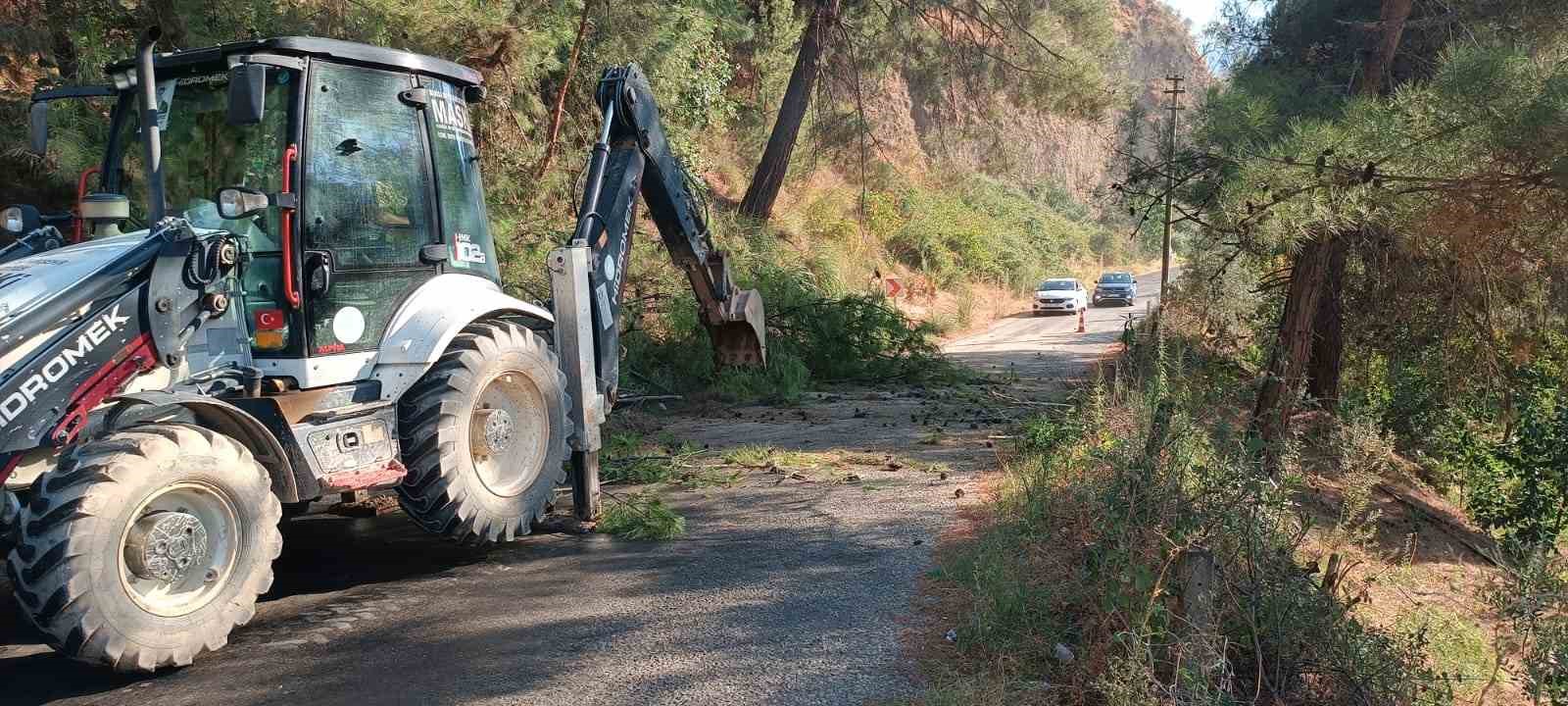 Alaşehir&rsquo;de devrilen ağa&ccedil; yolu ulaşıma kapattı
