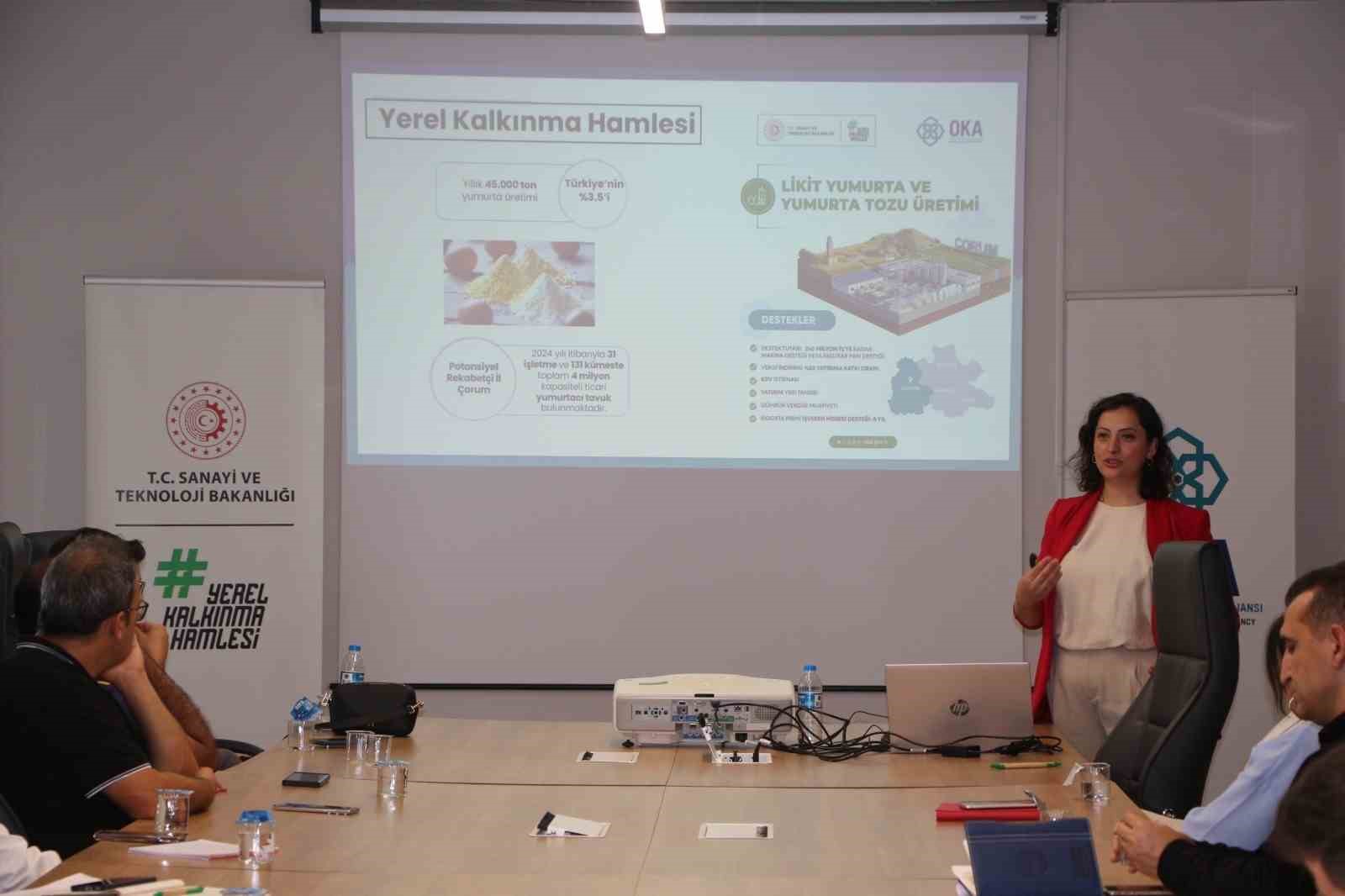 Yerel Kalkınma Hamlesi Teşvik Programı &Ccedil;orum&rsquo;da tanıtıldı
