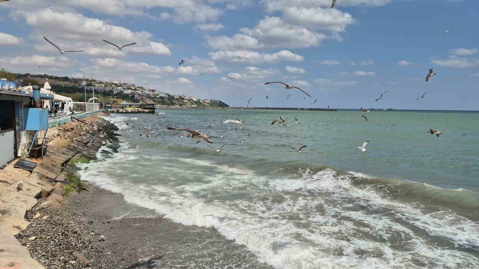 Tekirdağ&rsquo;da poyraz deniz ulaşımını aksattı
