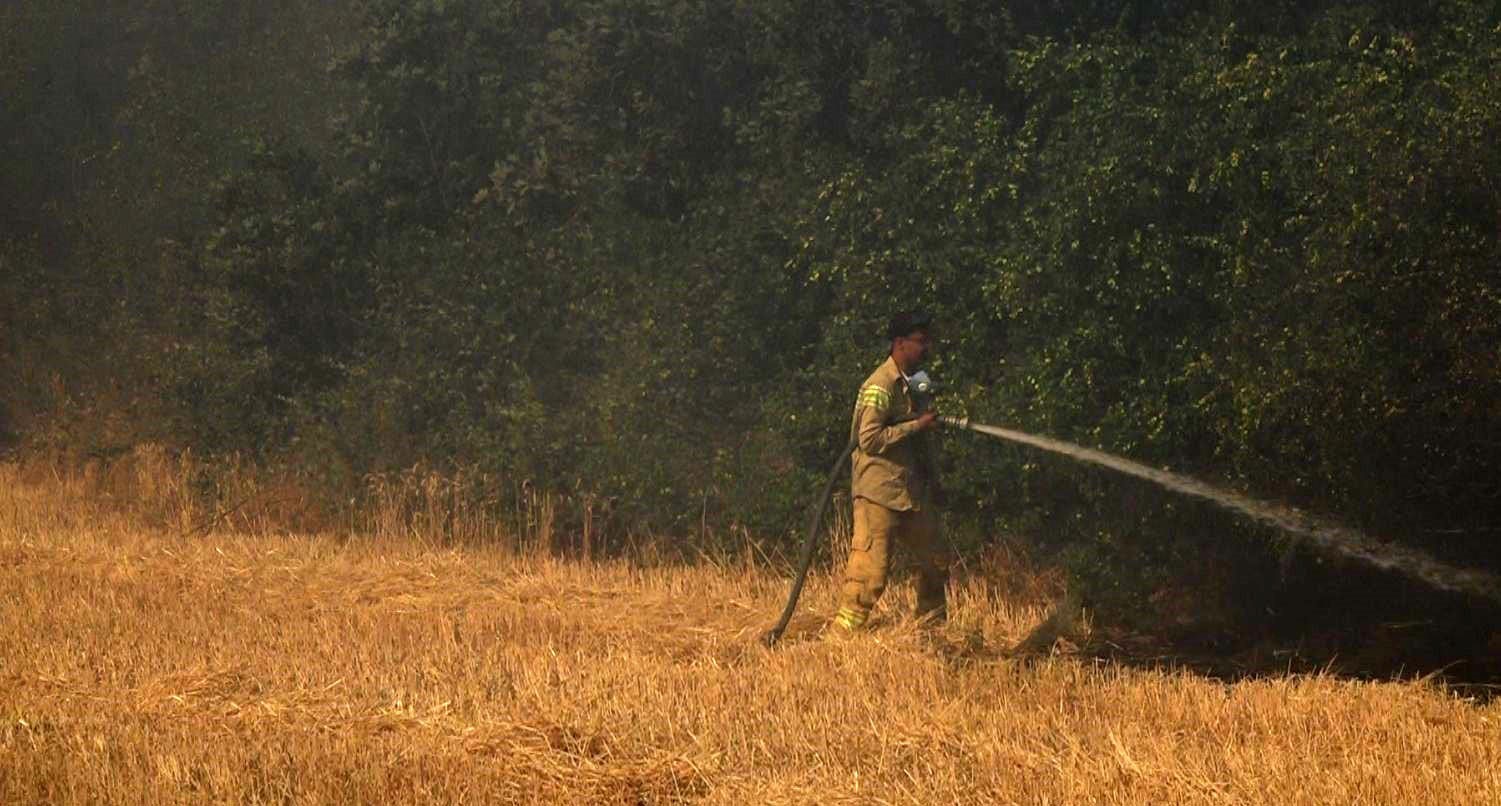 Kırklareli Valiliği yangınlara karşı uyardı