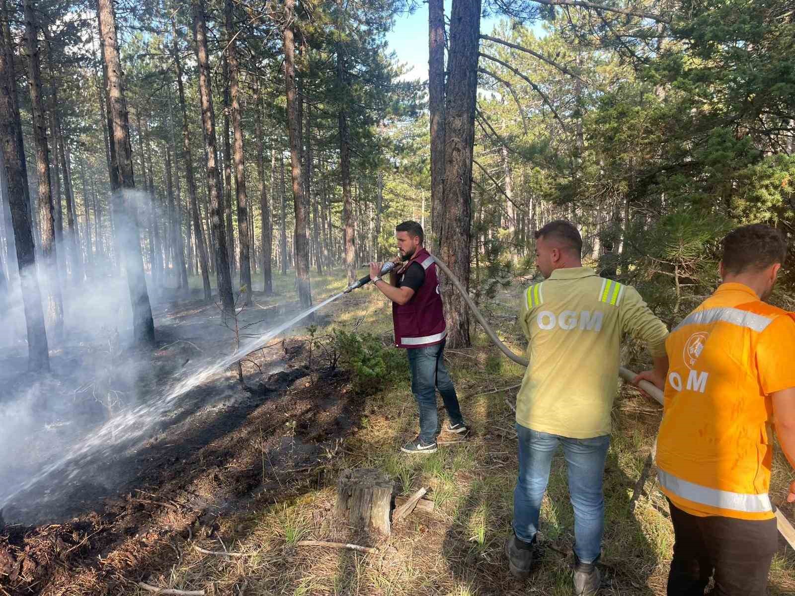 Han&ouml;n&uuml;&rsquo;de &ccedil;ıkan orman yangını s&ouml;nd&uuml;r&uuml;ld&uuml;
