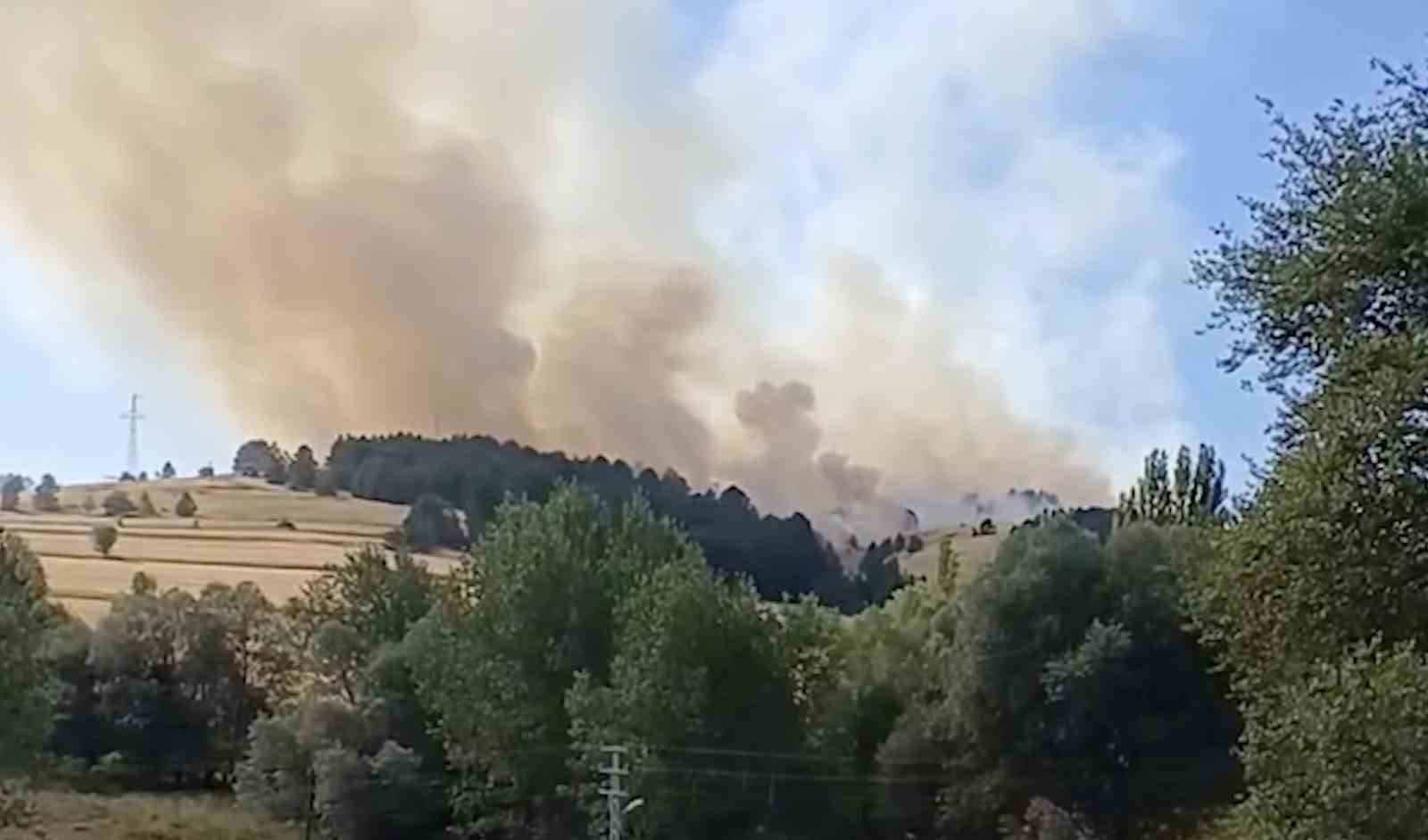 Çankırı’da orman yangını