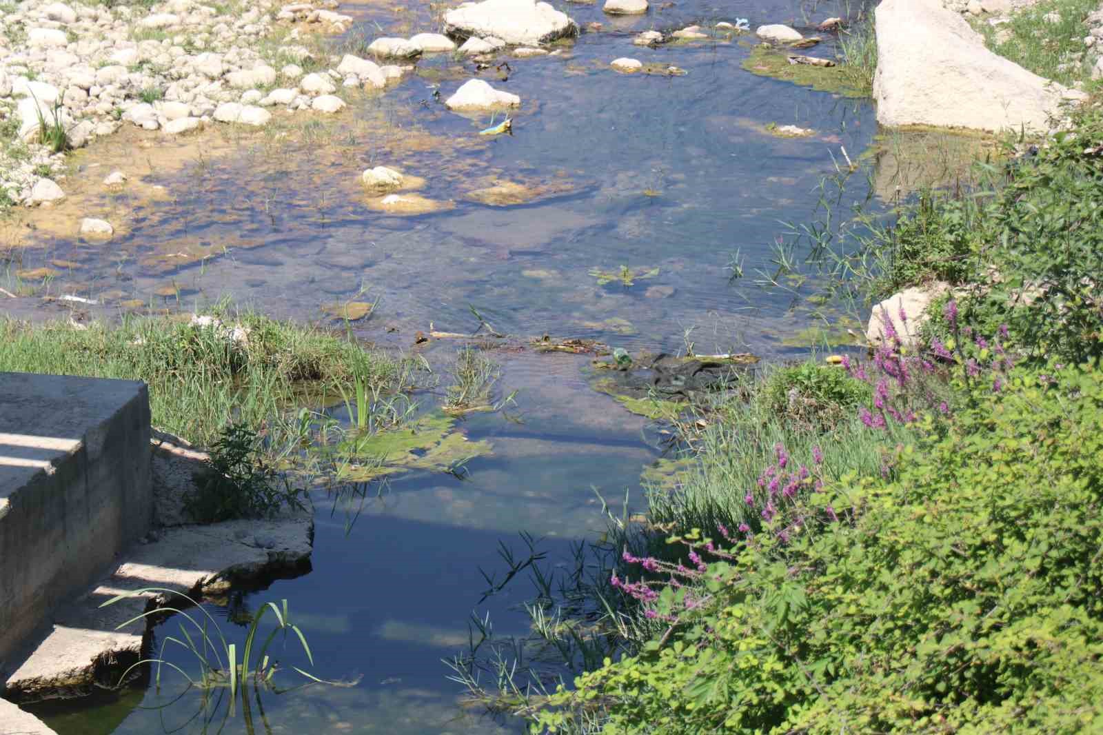 Mudurnu Deresi’ni kirleten firmanın faaliyeti durduruldu