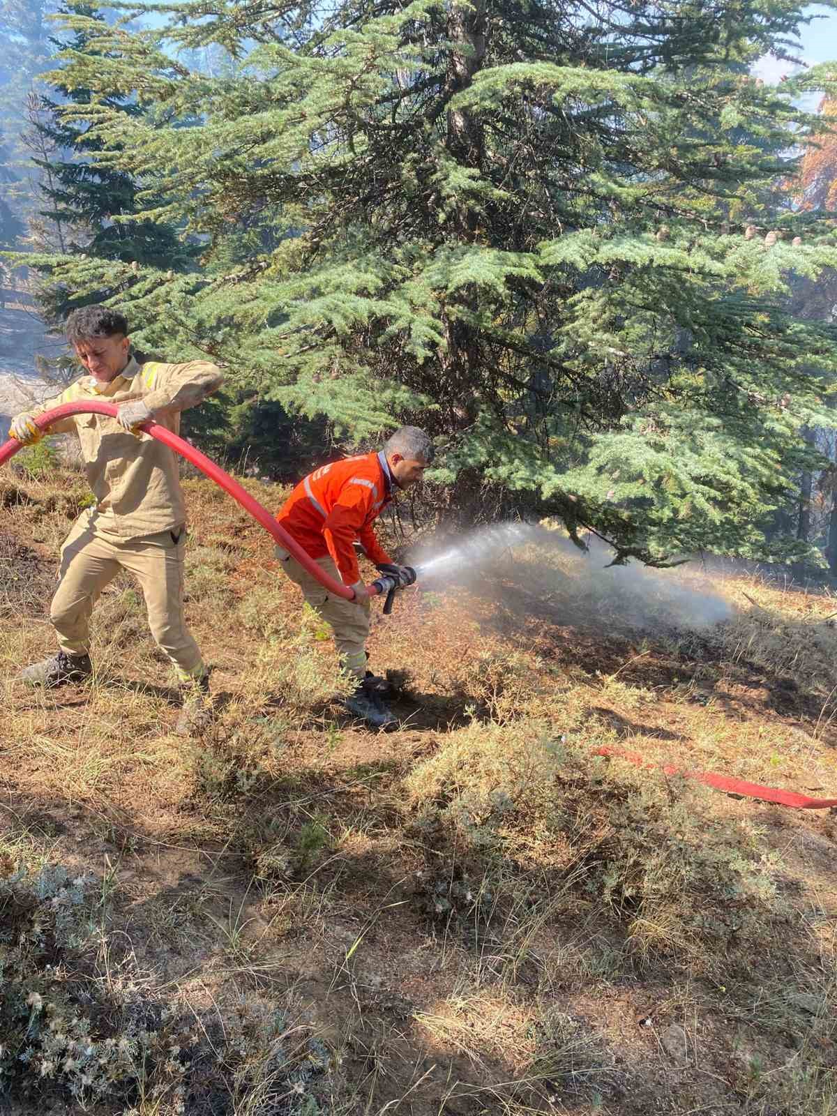 Kahramanmaraş&rsquo;taki orman yangını kontrol altına alındı
