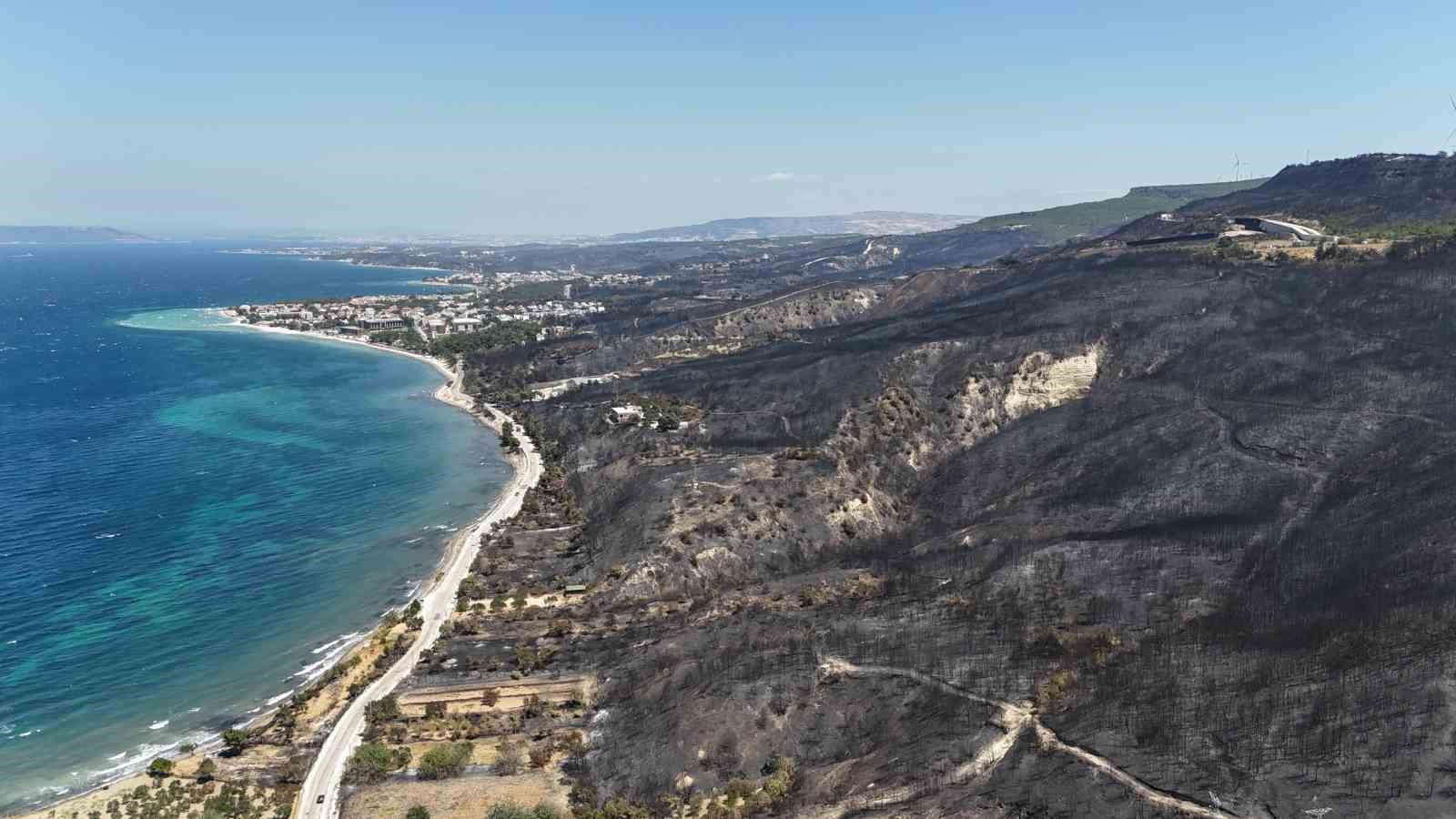 Çanakkale’de yangından geriye bu acı tablo kaldı