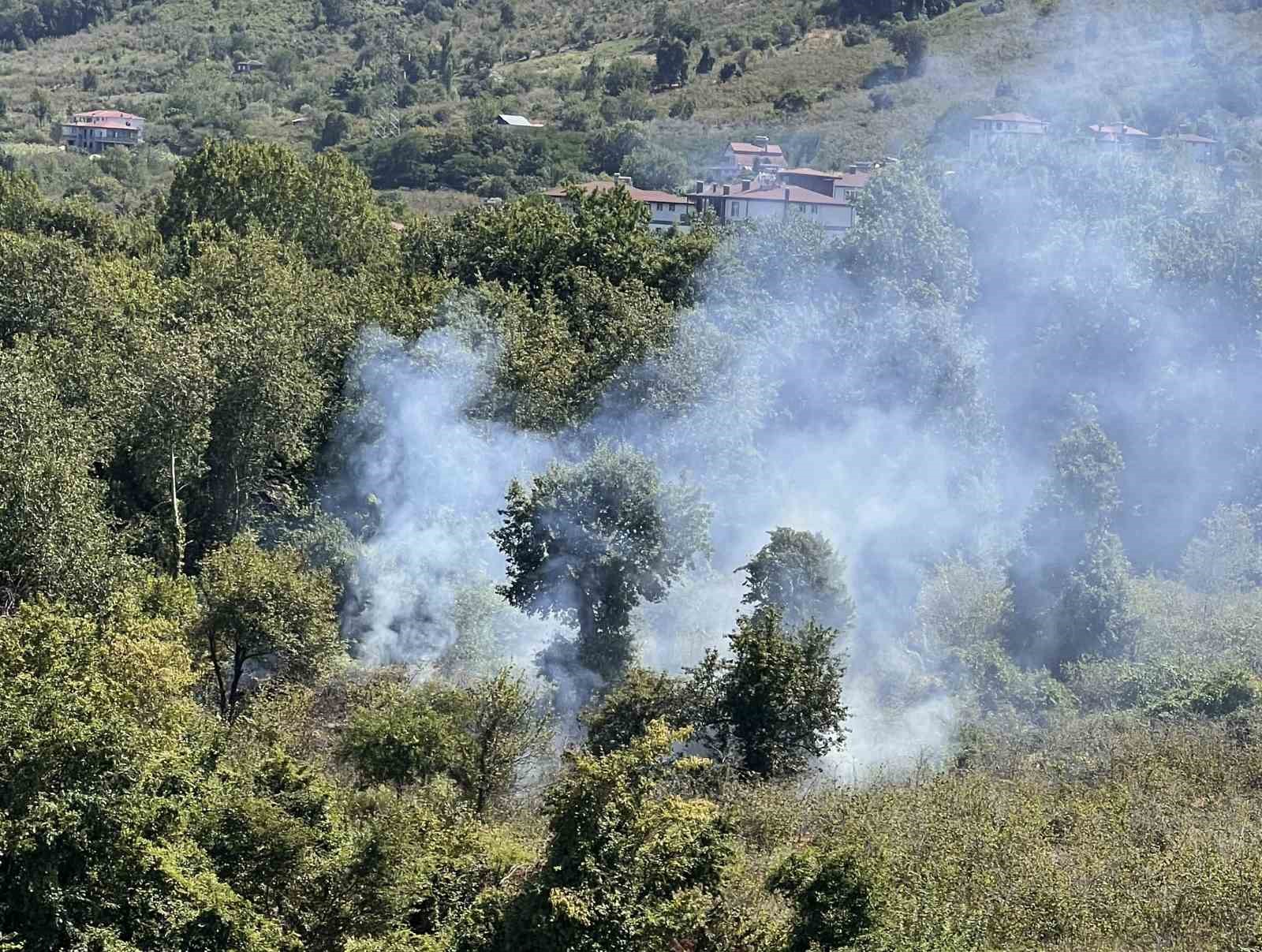 Ordu’da bahçe temizliği yangına yol açtı