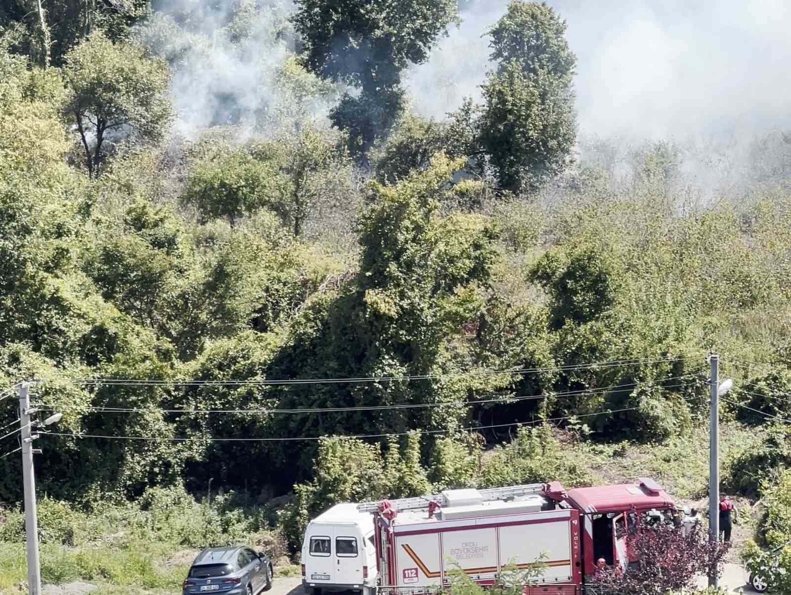 Ordu&rsquo;da bah&ccedil;e temizliği yangına yol a&ccedil;tı
