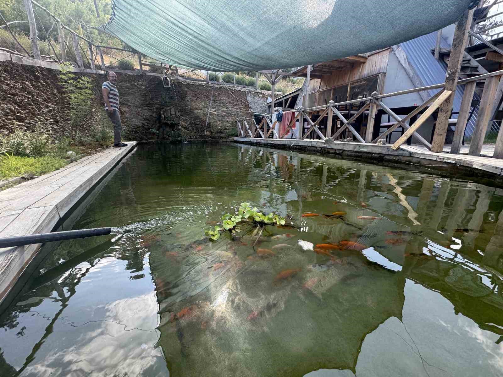 Akvaryum sevgisini y&uuml;zme havuzuna taşıdı
