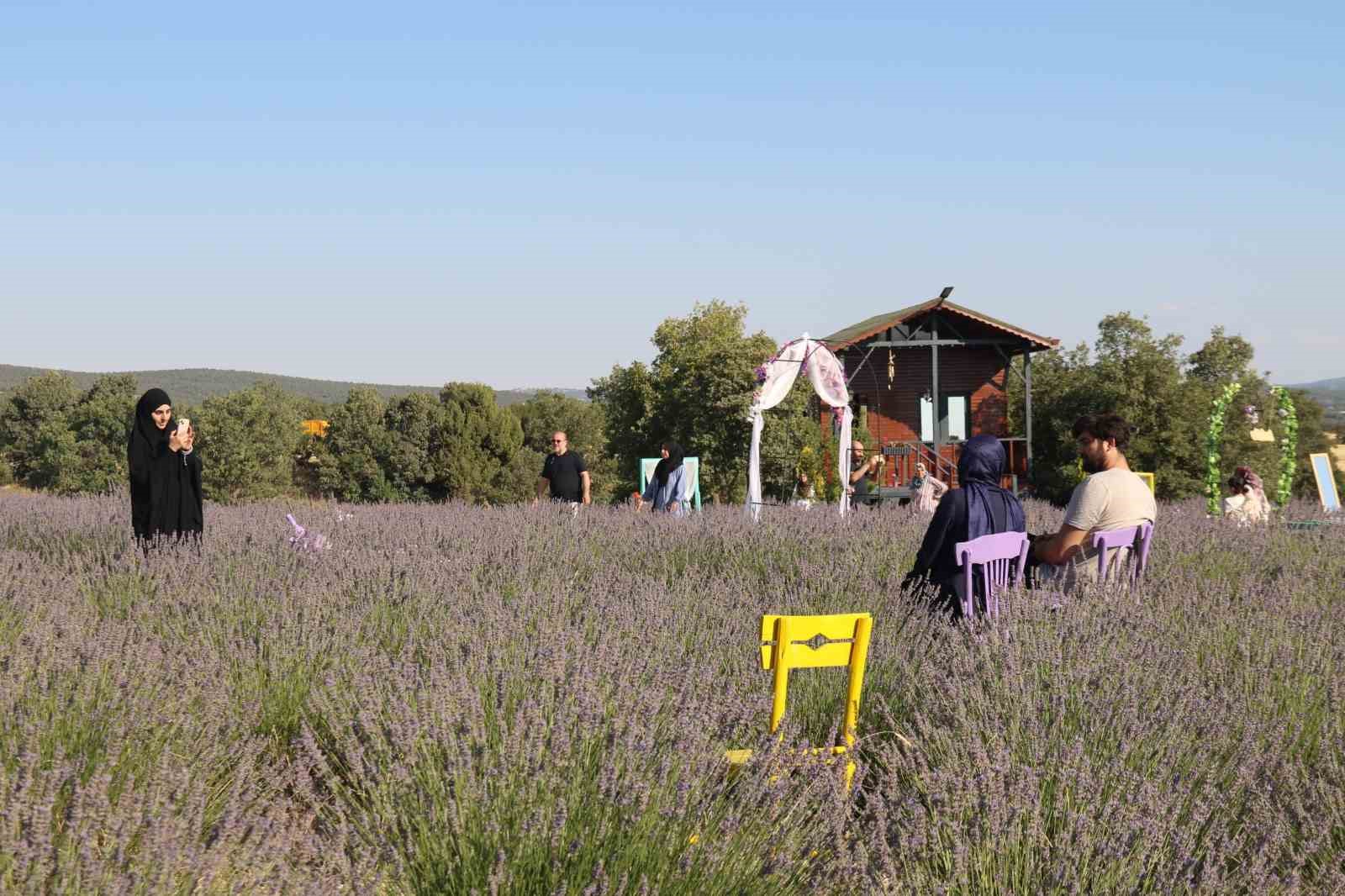 Ektiği lavantalar ile bahçesinde morun her tonunu barındırıyor