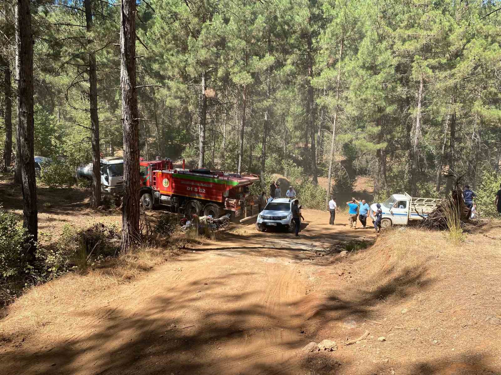 Osmaniye’de orman yangınında yaralanan gönüllü hayatını kaybetti
