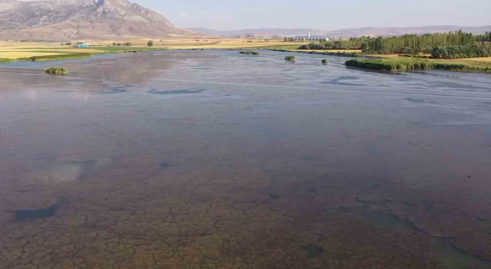 G&ouml;&ccedil;men kuşların uğrak noktasına can suyu
