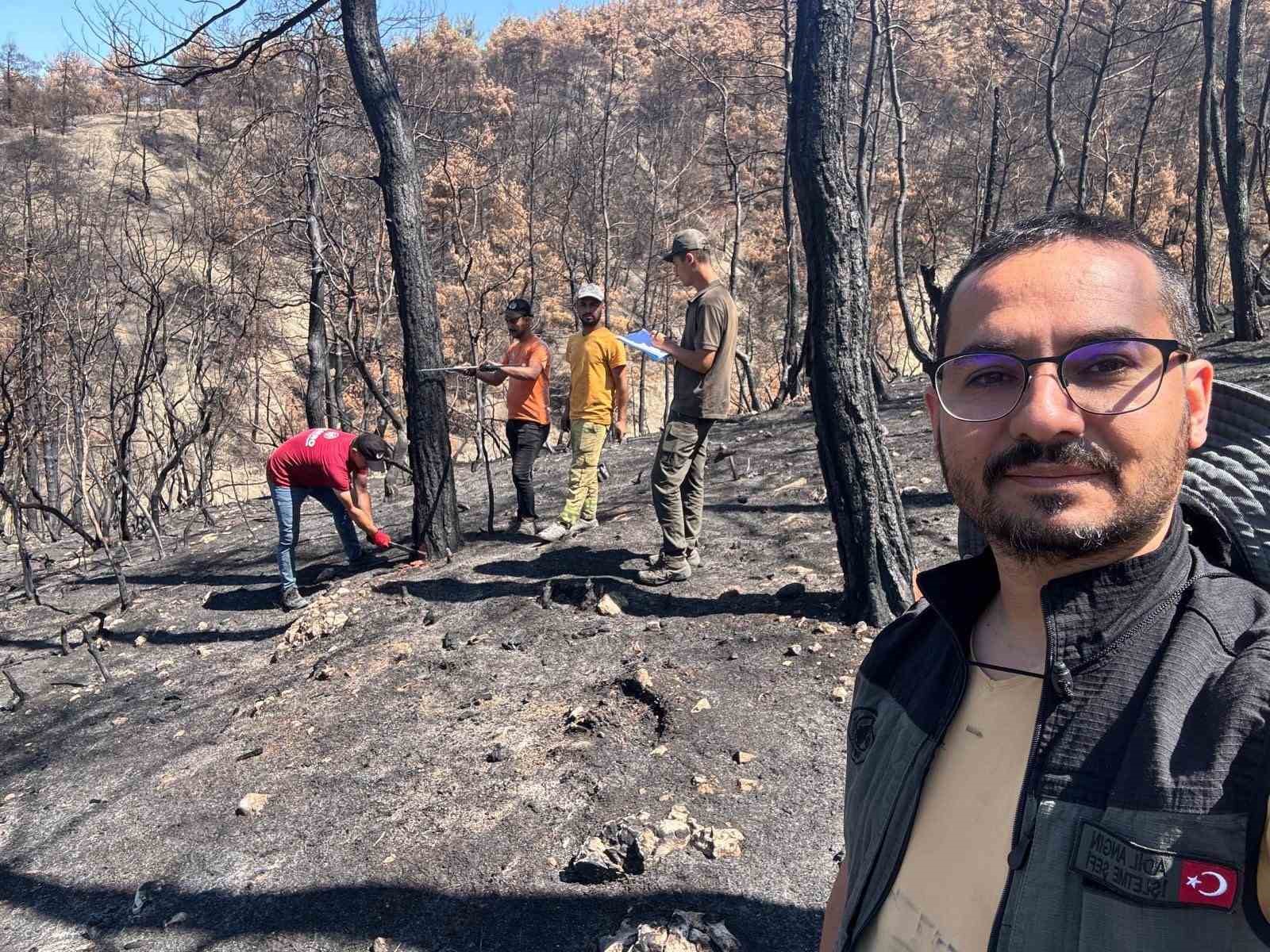 Geyve’nin yanan ormanları yeniden yeşeriyor