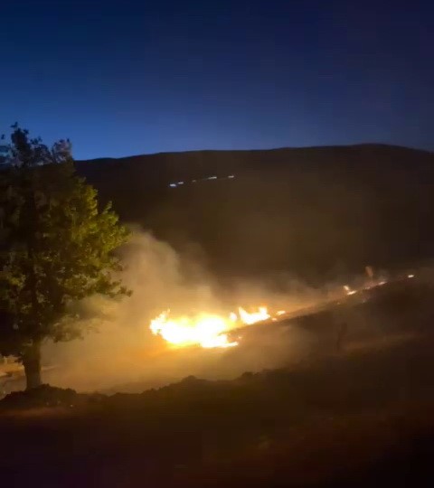 Anız yangını bahçeye sıçradı
