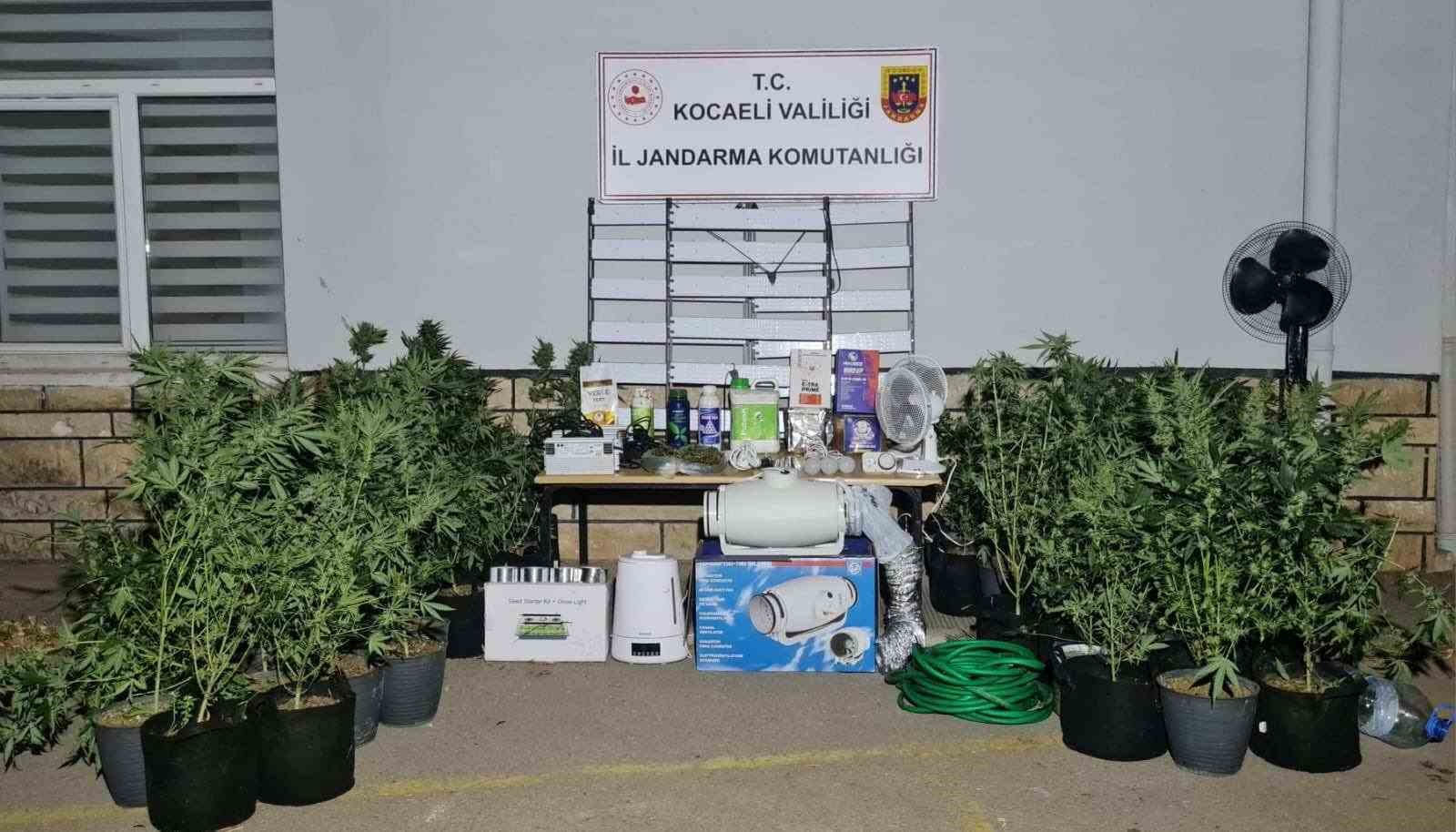 Evini uyuşturucu serasına çevirdi
