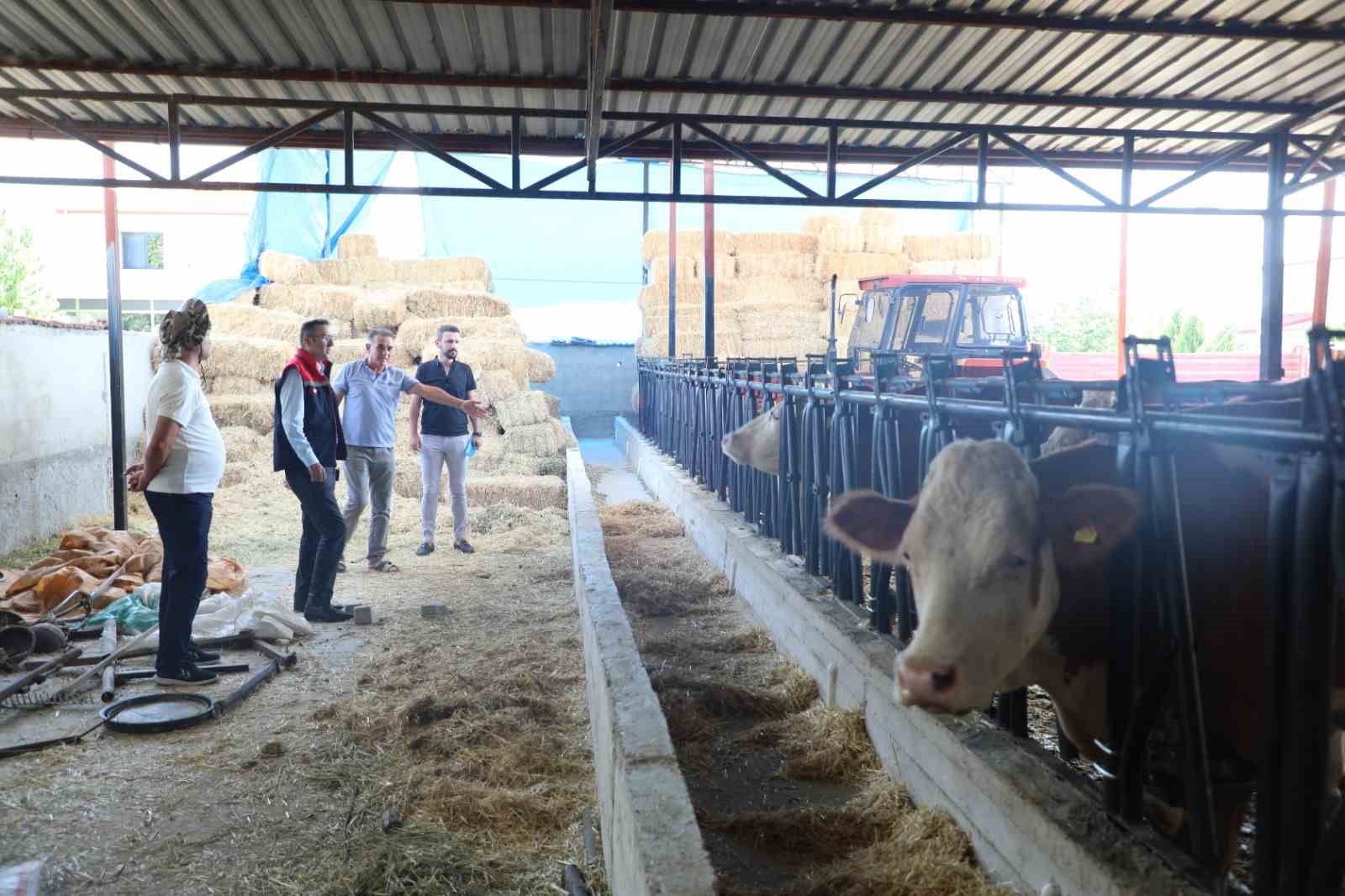 Uşak&rsquo;ta &uuml;reticilere ari işletme bilgilendirmesi,
