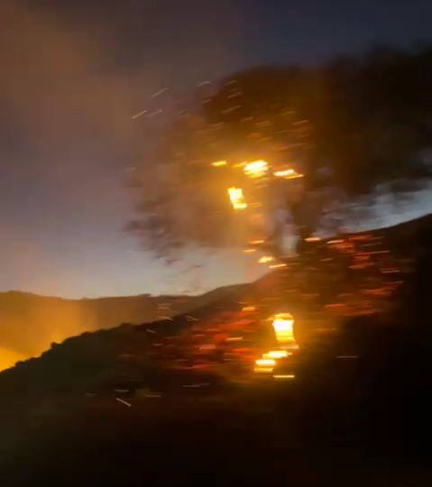 Anız yangını bahçeye sıçradı