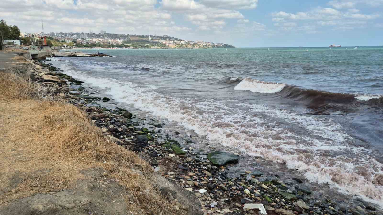 Poyraz kızıl yosun getirdi
