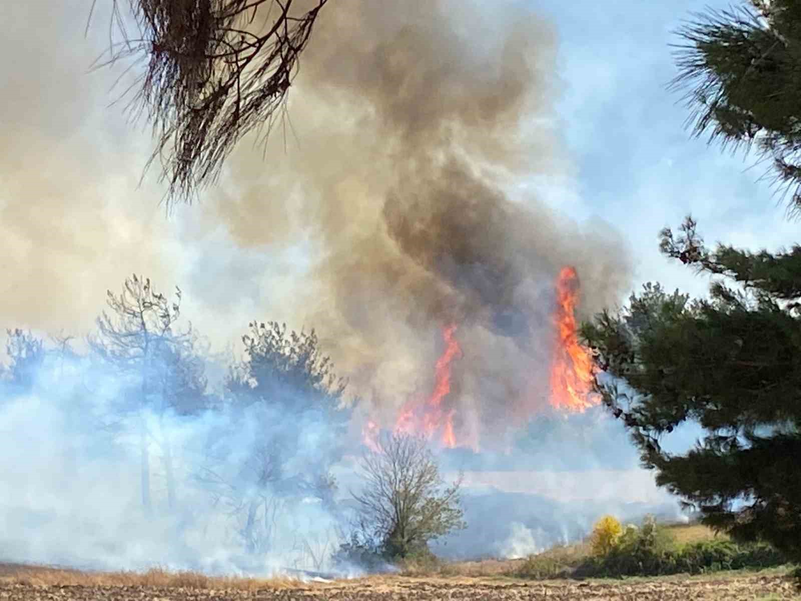 Osmaniye&rsquo;de ormanlık alanda yangın &ccedil;ıktı

