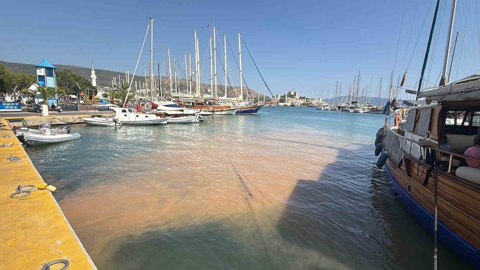 Bodrum&rsquo;da su hattı patladı, işyeri ve depo sular altında kaldı

