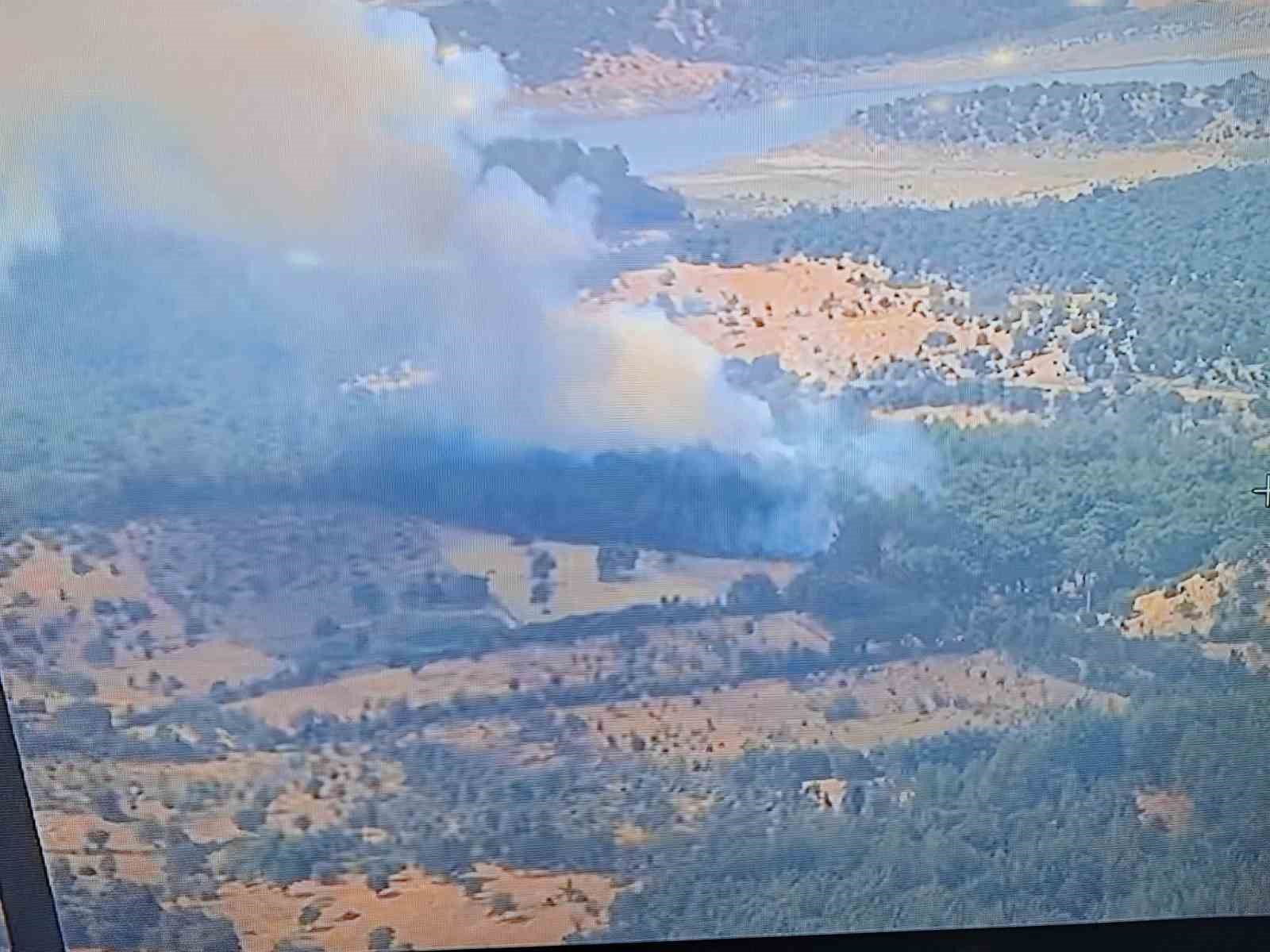 Ayvacık’ta ormanlık alanda yangına, müdahale devam ediyor