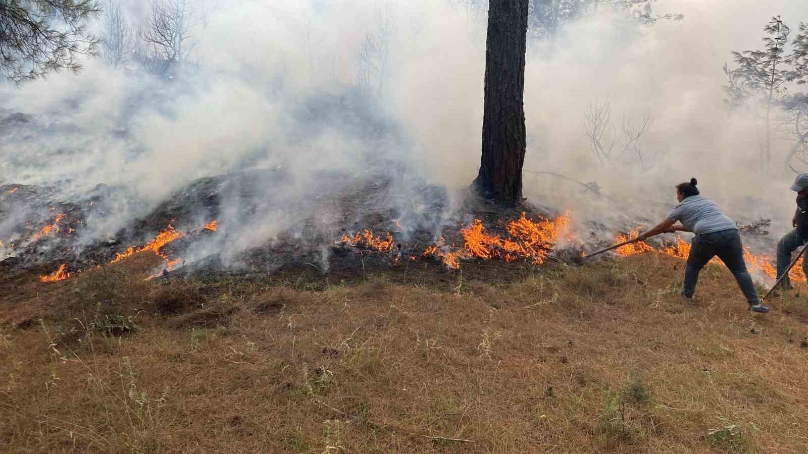 Ayvacık&rsquo;ta ormanlık alanda yangına, m&uuml;dahale devam ediyor
