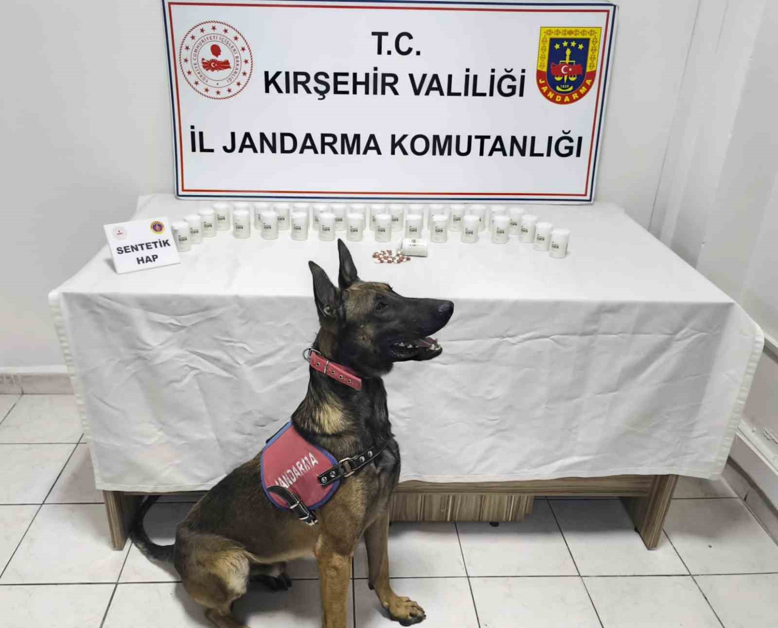 Kırşehir’de bin 823 sentetik hap ele geçirildi: 2 gözaltı