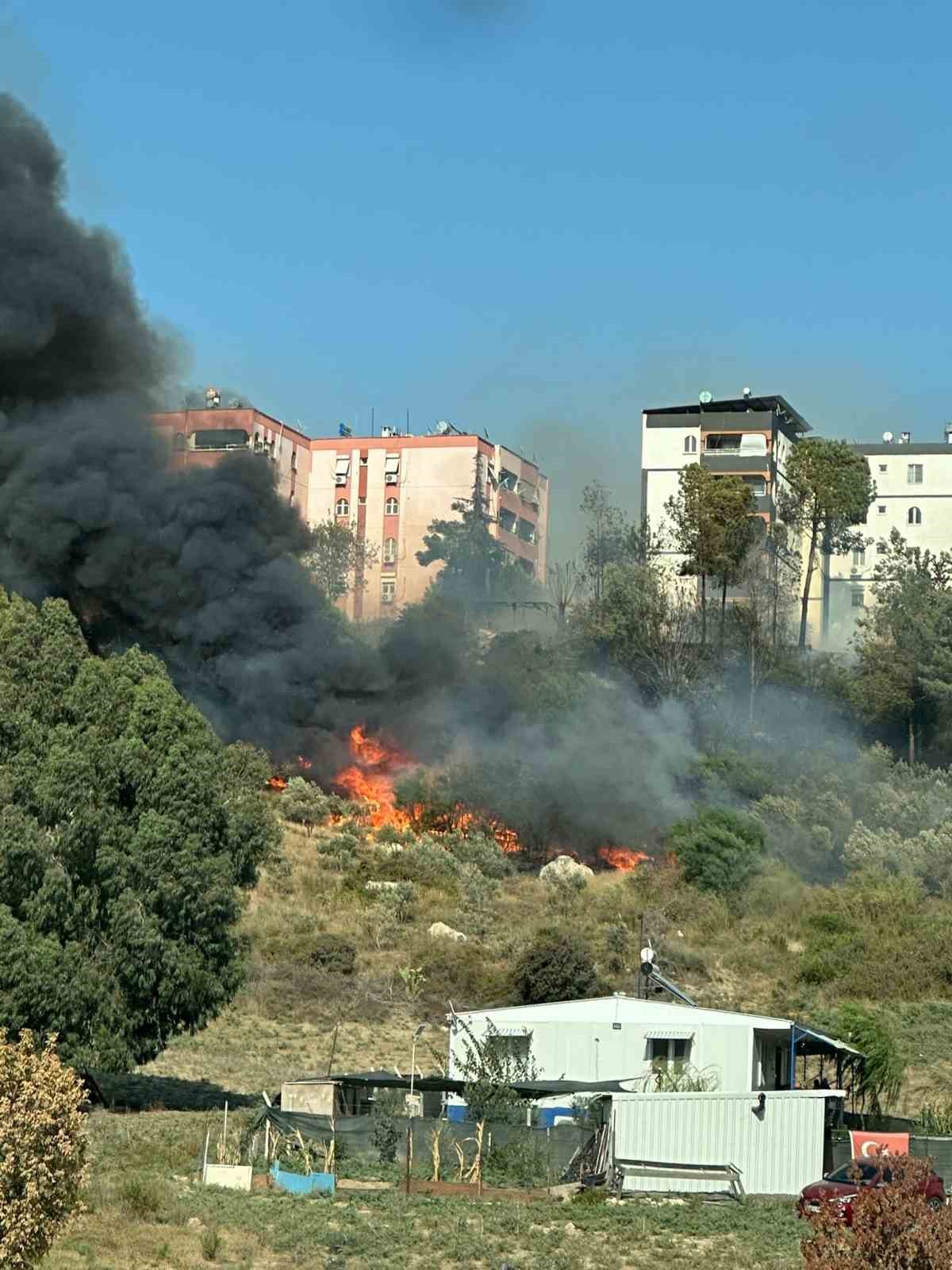 Adana&rsquo;da yerleşim yeri &ccedil;evresinde ağa&ccedil;lık alanda &ccedil;ıkan yangın korkuttu
