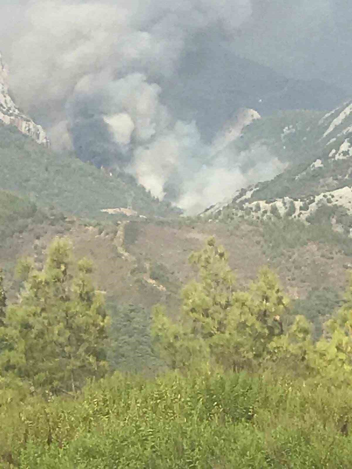 Mersin&rsquo;de ikinci orman yangını
