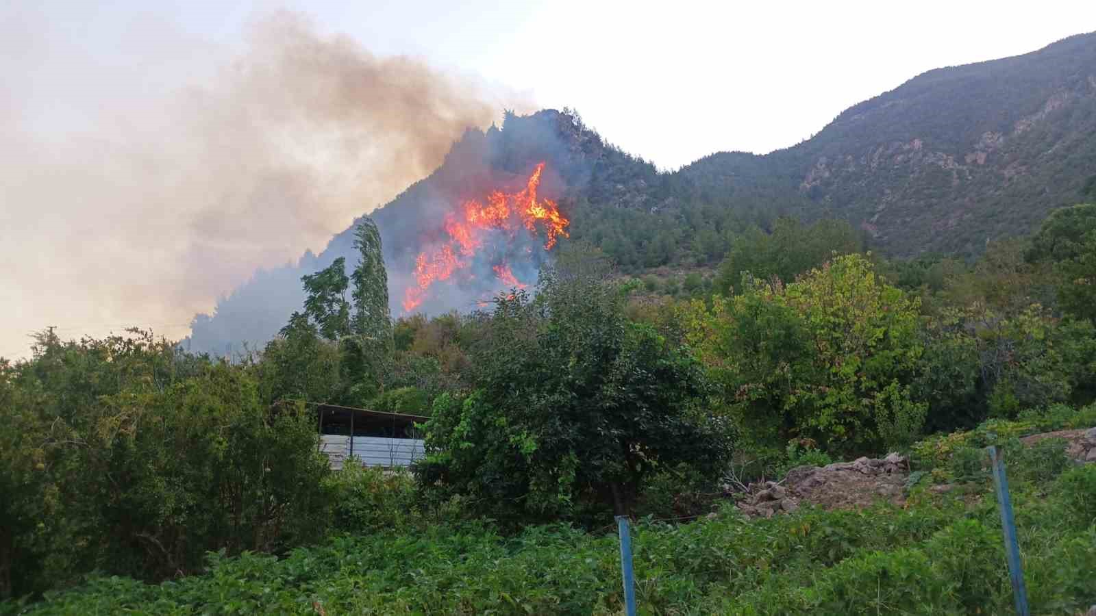Hatay’da orman yangını