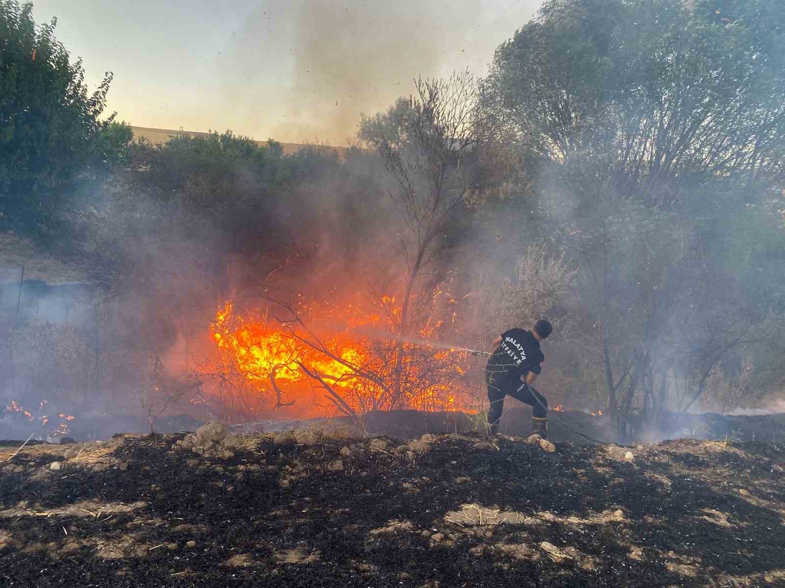 Malatya’da anız yangınında 50 dönümlük arazi zarar gördü