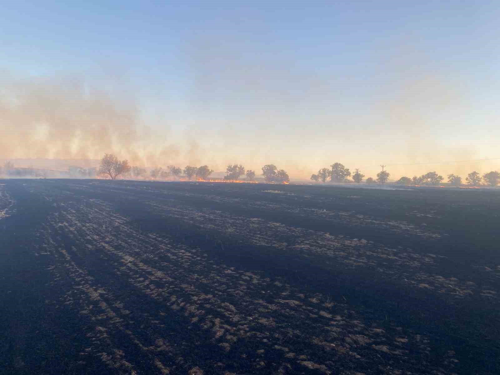 Malatya&rsquo;da anız yangınında 50 d&ouml;n&uuml;ml&uuml;k arazi zarar g&ouml;rd&uuml;
