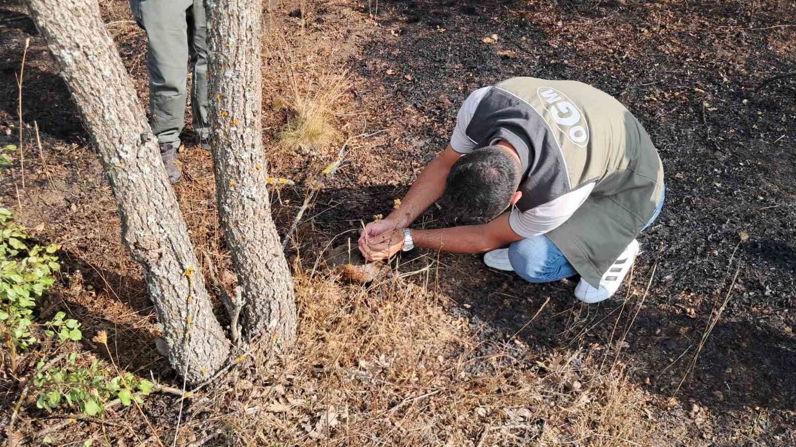 Bilecik&rsquo;te yangına hızlı m&uuml;dahale felaketi &ouml;nledi
