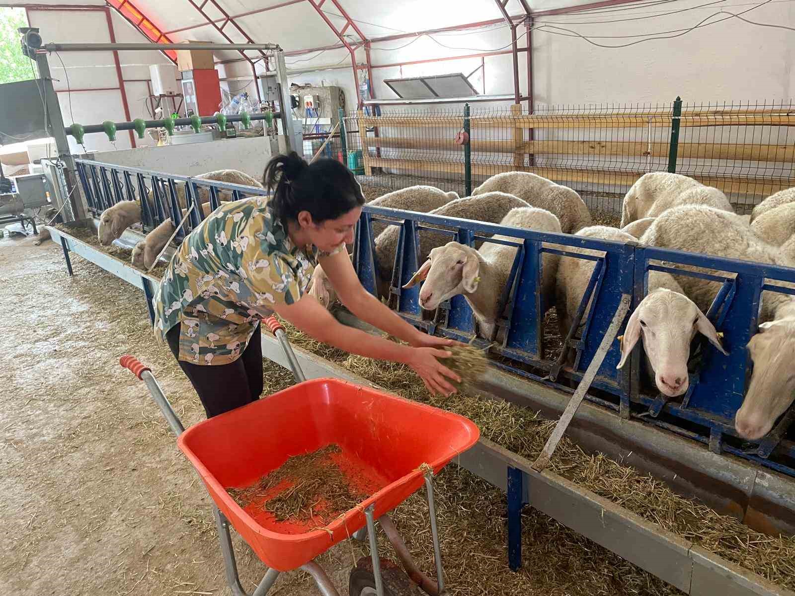 Veteriner gen&ccedil; kadın, kendi işletmesini kurdu
