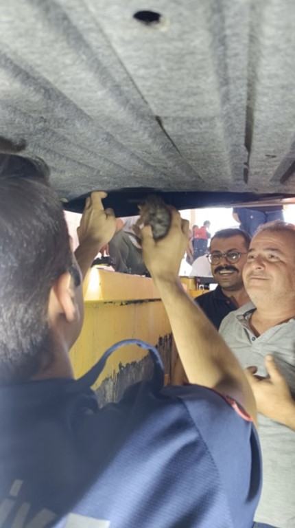 Osmaniye’de elektrikli otomobilin bagajında mahsur kalan 5 kedi yavrusu kurtarıldı
